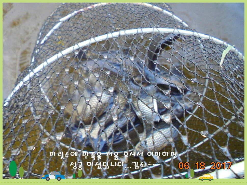 도심속의 작은 쉼터 화성 관리 낚시터입니다 (유료터정보 - 유료터점주조황)