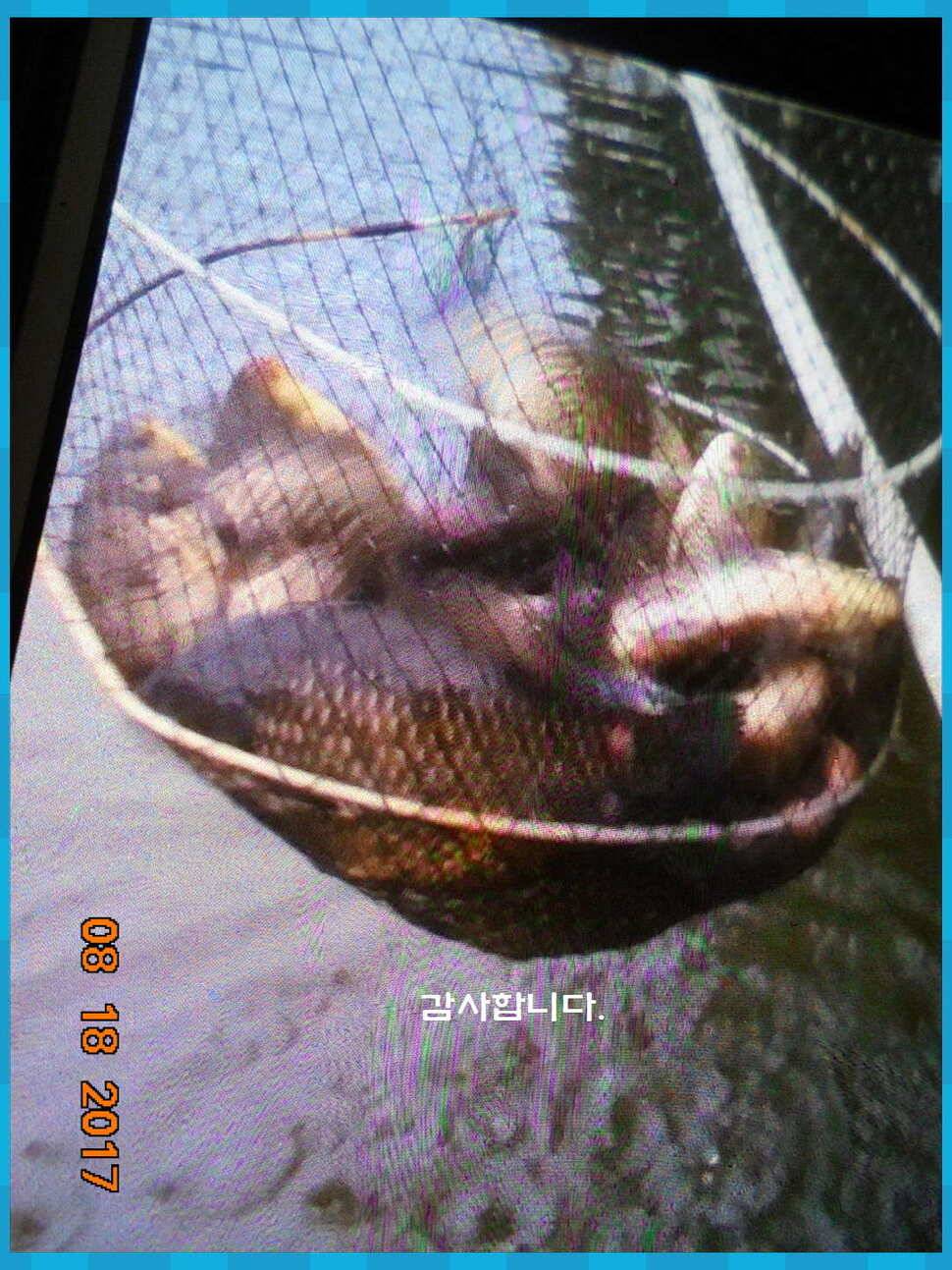 도심속의 작은 쉼터 화성 관리 낚시터입니다대단한 밤의 연속입니다 (유료터정보 - 유료터점주조황)