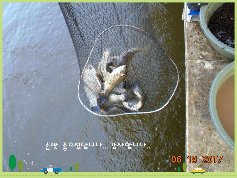 도심속의 작은 쉼터 화성 관리 낚시터입니다 (유료터정보 - 유료터점주조황)