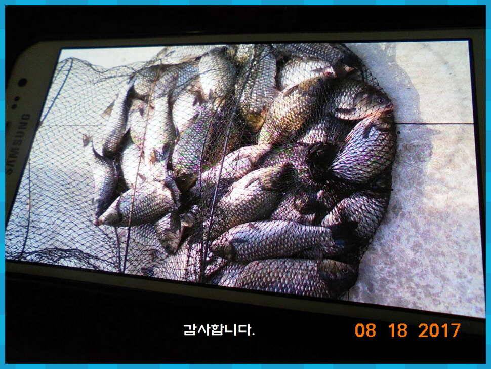 도심속의 작은 쉼터 화성 관리 낚시터입니다대단한 밤의 연속입니다 (유료터정보 - 유료터점주조황)