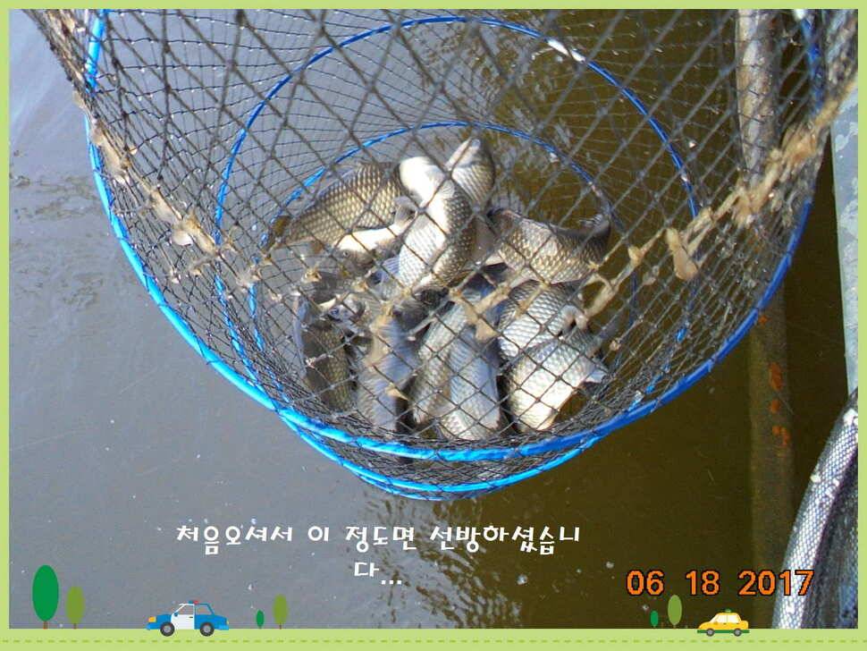 도심속의 작은 쉼터 화성 관리 낚시터입니다 (유료터정보 - 유료터점주조황)