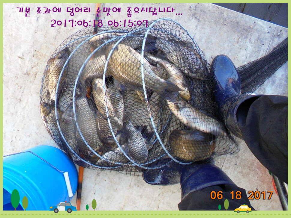 도심속의 작은 쉼터 화성 관리 낚시터입니다 (유료터정보 - 유료터점주조황)