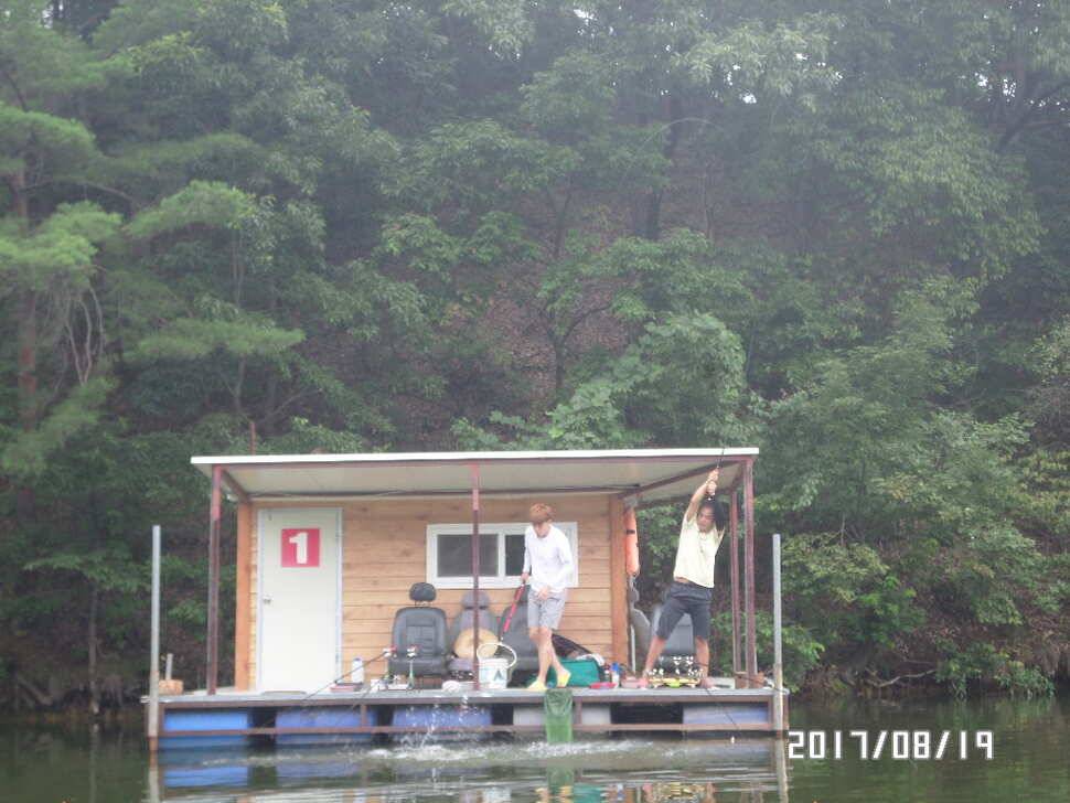 아산 신수지 8월 세째주말 화보입니다 (유료터정보 - 유료터점주조황)