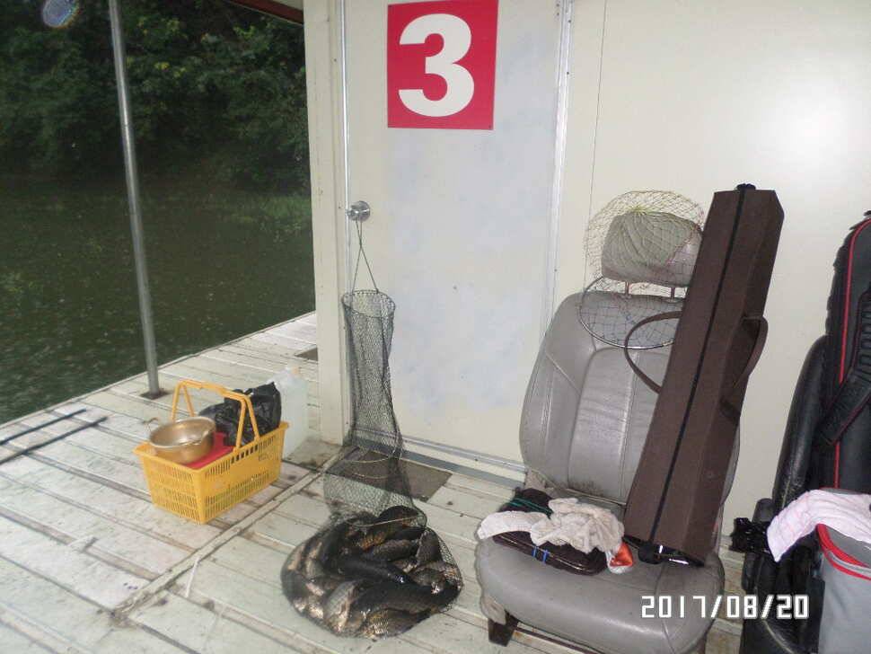 아산 신수지 8월 세째주말 화보입니다 (유료터정보 - 유료터점주조황)