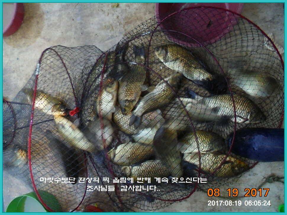 도심속의 작은 쉼터 화성 관리 낚시터입니다대단한 밤의 연속입니다 (유료터정보 - 유료터점주조황)