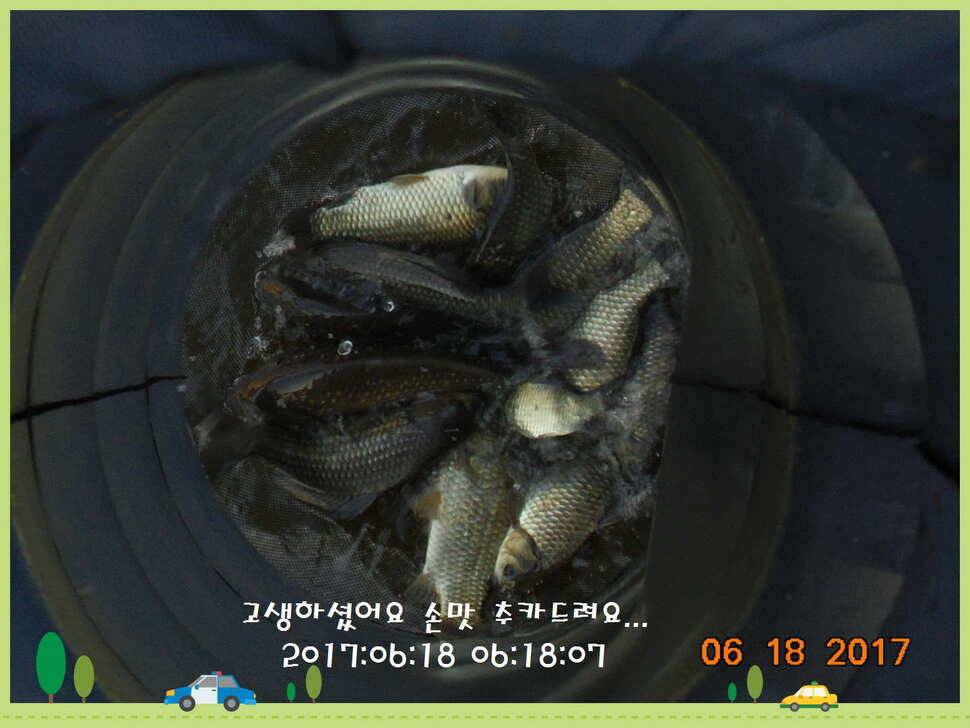 도심속의 작은 쉼터 화성 관리 낚시터입니다 (유료터정보 - 유료터점주조황)