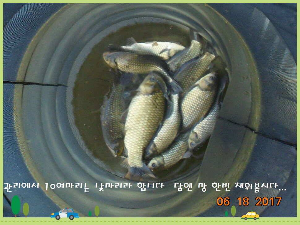 도심속의 작은 쉼터 화성 관리 낚시터입니다 (유료터정보 - 유료터점주조황)