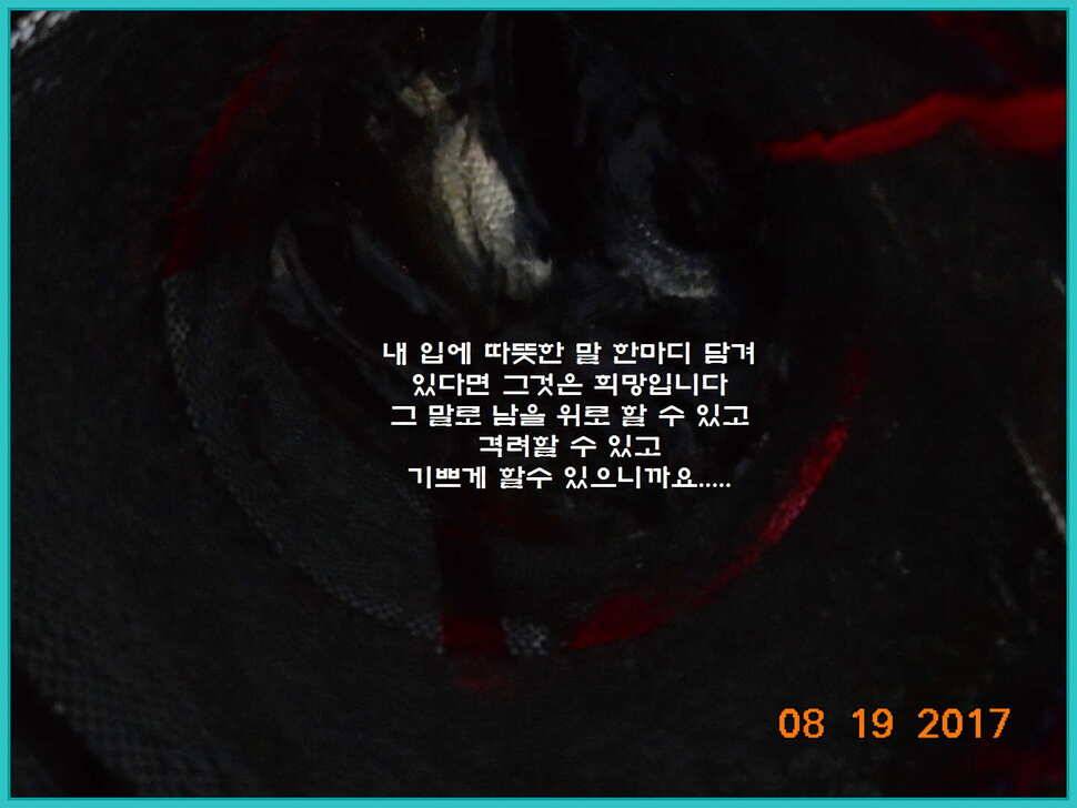 도심속의 작은 쉼터 화성 관리 낚시터입니다대단한 밤의 연속입니다 (유료터정보 - 유료터점주조황)