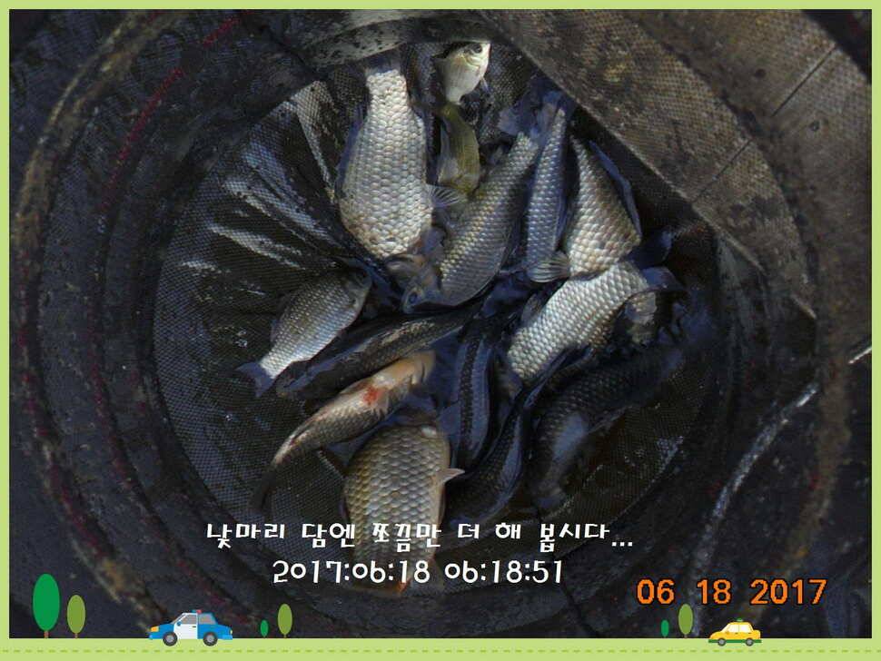 도심속의 작은 쉼터 화성 관리 낚시터입니다 (유료터정보 - 유료터점주조황)