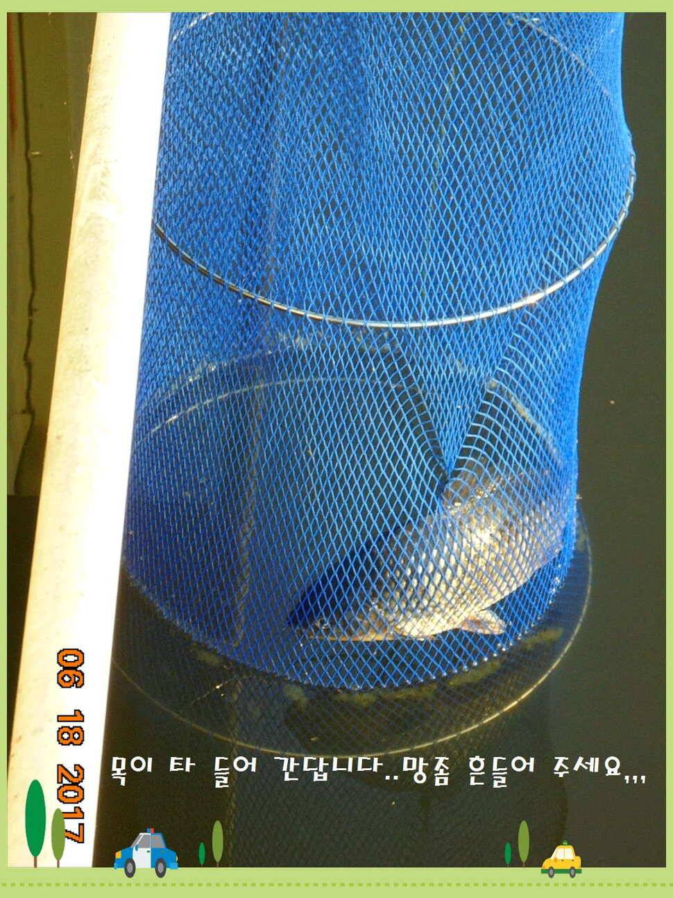 도심속의 작은 쉼터 화성 관리 낚시터입니다 (유료터정보 - 유료터점주조황)
