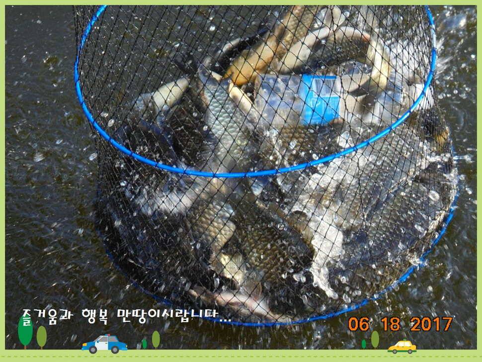 도심속의 작은 쉼터 화성 관리 낚시터입니다 (유료터정보 - 유료터점주조황)