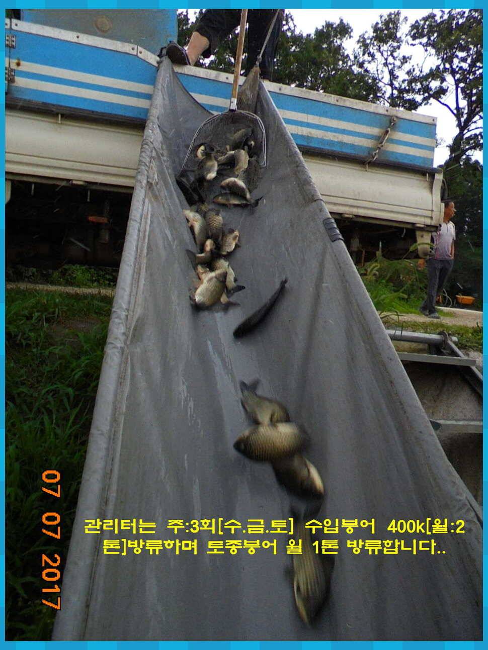 도심속의 작은 쉼터 화성 관리 낚시터입니다대물과의 승부 (유료터정보 - 유료터점주조황)