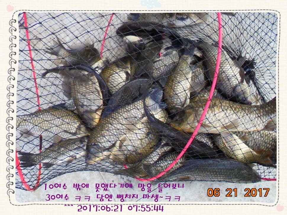 도심속의 작은 쉼터 화성 관리 낚시터입니다헉 이렇게 더운 한 낮에 (유료터정보 - 유료터점주조황)
