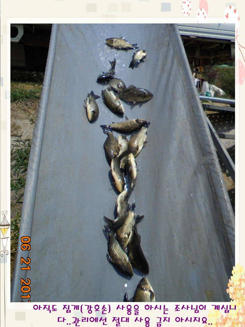 도심속의 작은 쉼터 화성 관리 낚시터입니다헉 이렇게 더운 한 낮에 (유료터정보 - 유료터점주조황)