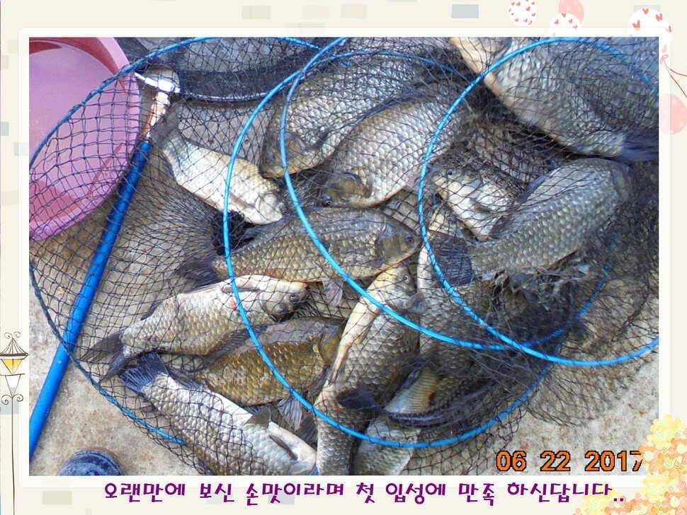 도심속의 작은 쉼터 화성 관리 낚시터입니다헉 이렇게 더운 한 낮에 (유료터정보 - 유료터점주조황)