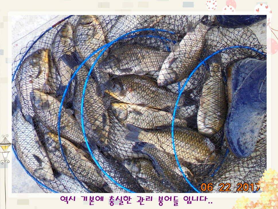 도심속의 작은 쉼터 화성 관리 낚시터입니다헉 이렇게 더운 한 낮에 (유료터정보 - 유료터점주조황)
