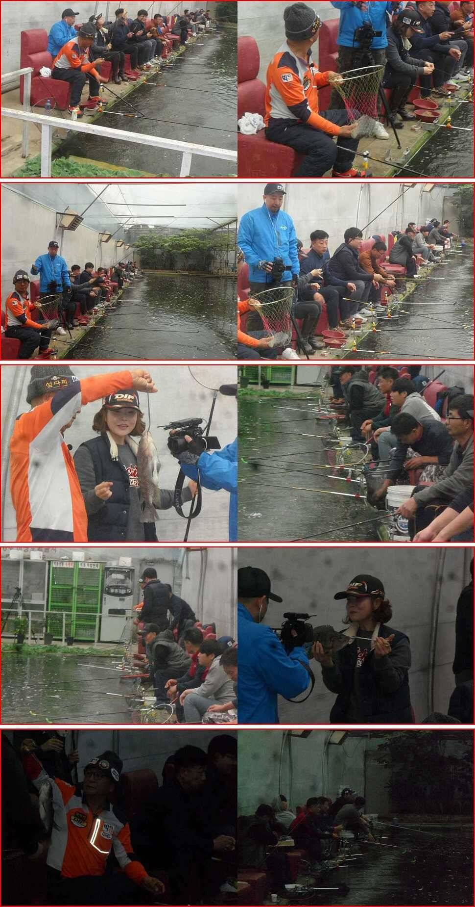 과부족 (유료터정보 - 유료터점주조황)