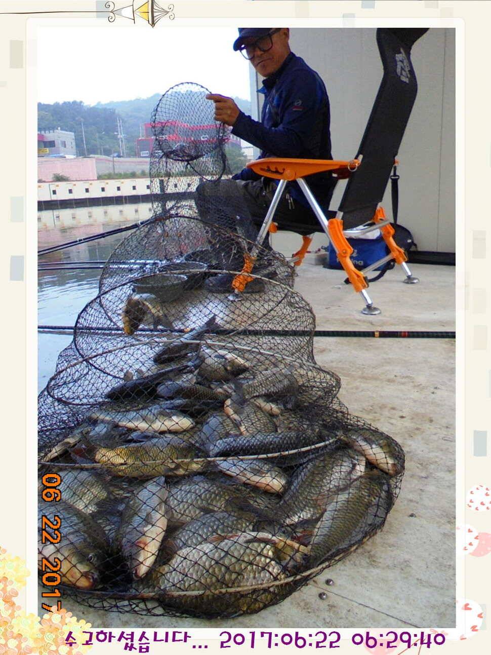 도심속의 작은 쉼터 화성 관리 낚시터입니다헉 이렇게 더운 한 낮에 (유료터정보 - 유료터점주조황)
