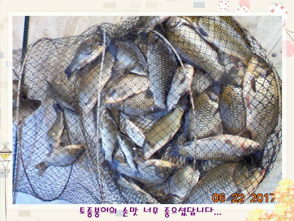 도심속의 작은 쉼터 화성 관리 낚시터입니다헉 이렇게 더운 한 낮에 (유료터정보 - 유료터점주조황)