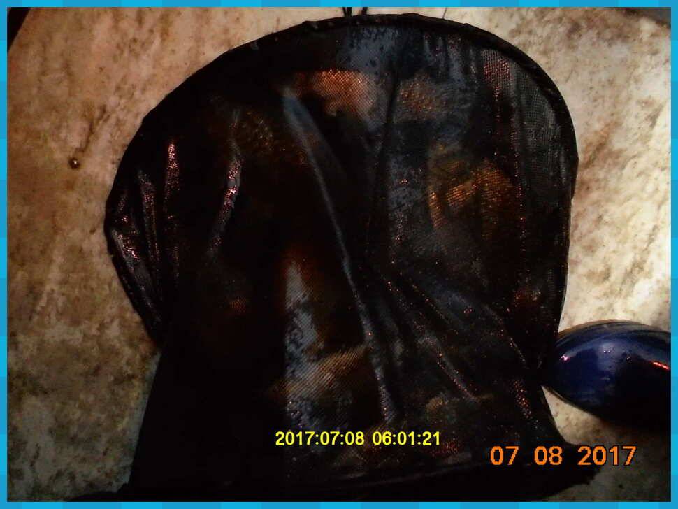 도심속의 작은 쉼터 화성 관리 낚시터입니다대물과의 승부 (유료터정보 - 유료터점주조황)