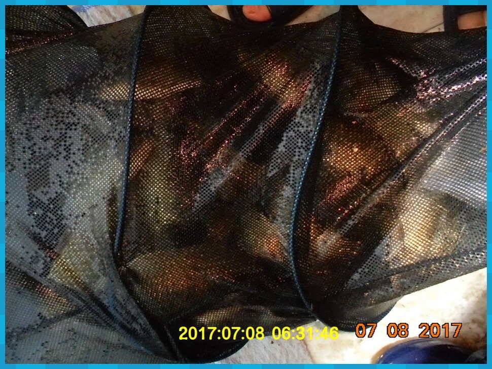 도심속의 작은 쉼터 화성 관리 낚시터입니다대물과의 승부 (유료터정보 - 유료터점주조황)