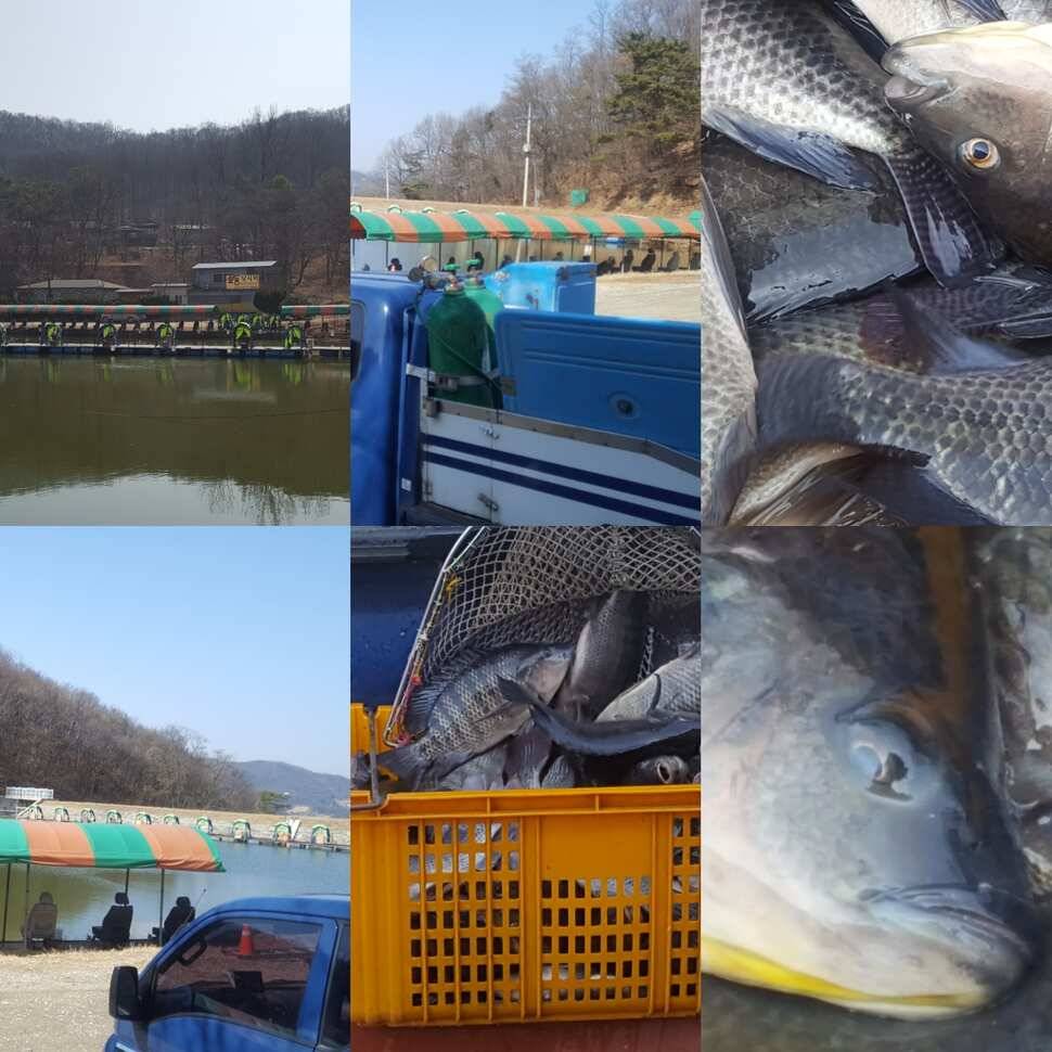 병행 운영 (유료터정보 - 유료터점주조황)
