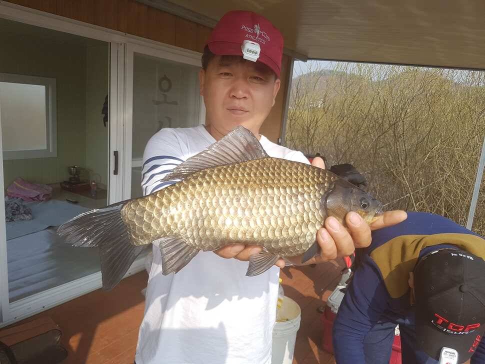 진정한 마리수 조황 대물사짜 (유료터정보 - 유료터점주조황)