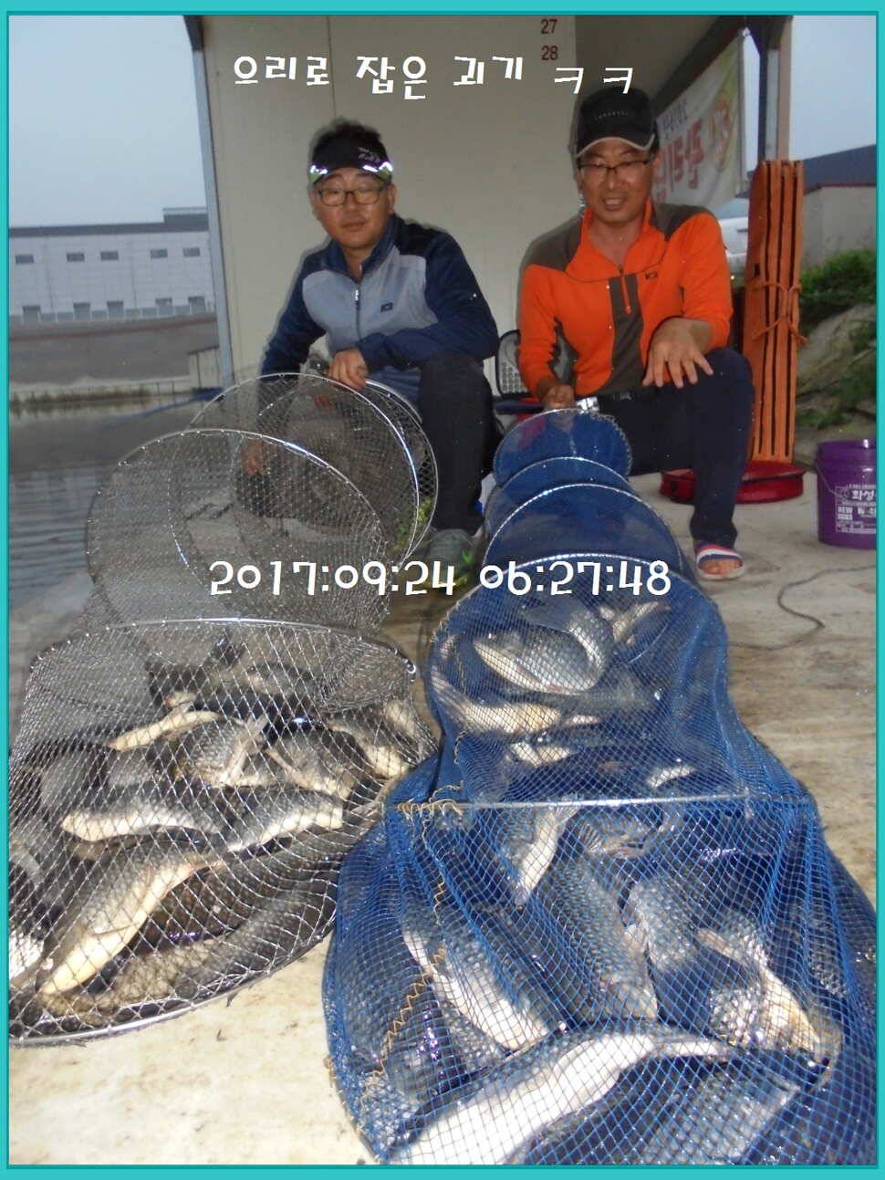 도심속의 작은 쉼터 화성 관리 낚시터입니다노지보단 방가로쪽 상류보단 하류쪽이 더 좋았습니다 (유료터정보 - 유료터점주조황)