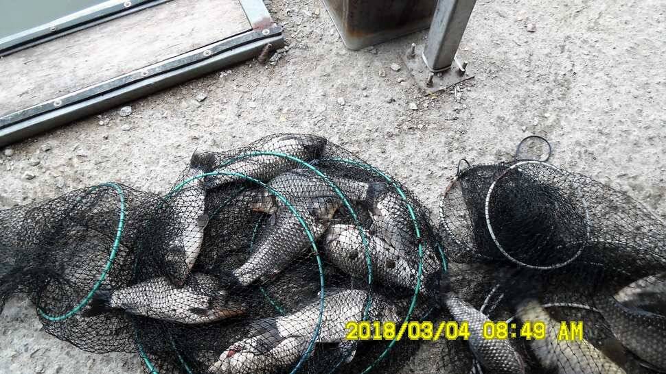 반제지 조황정보입니다 (유료터정보 - 유료터점주조황)