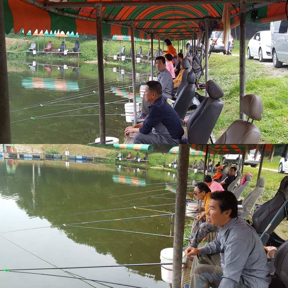 다산왕순산왕 (유료터정보 - 유료터점주조황)