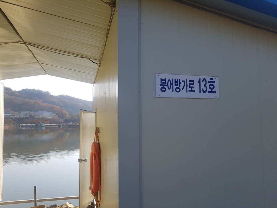 11 월 16 일 경기도 안성 거청낚시터 붕어조황 (유료터정보 - 유료터점주조황)
