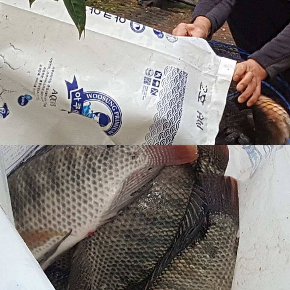 가재는 게 편 (유료터정보 - 유료터점주조황)