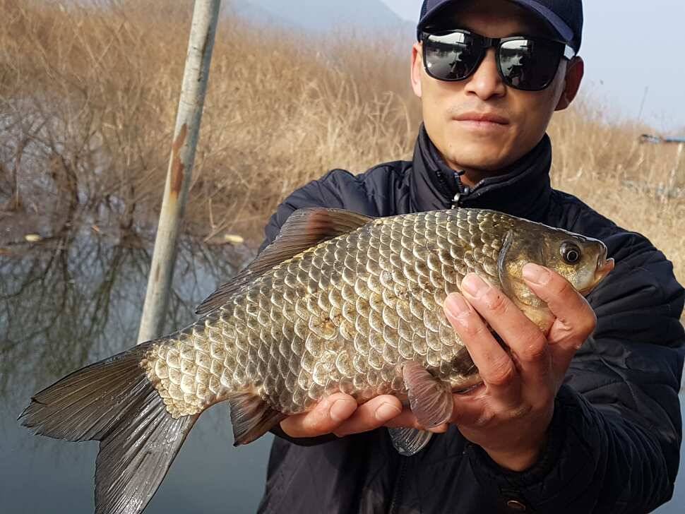계속좋아지고 있네요 덩어리 (유료터정보 - 유료터점주조황)