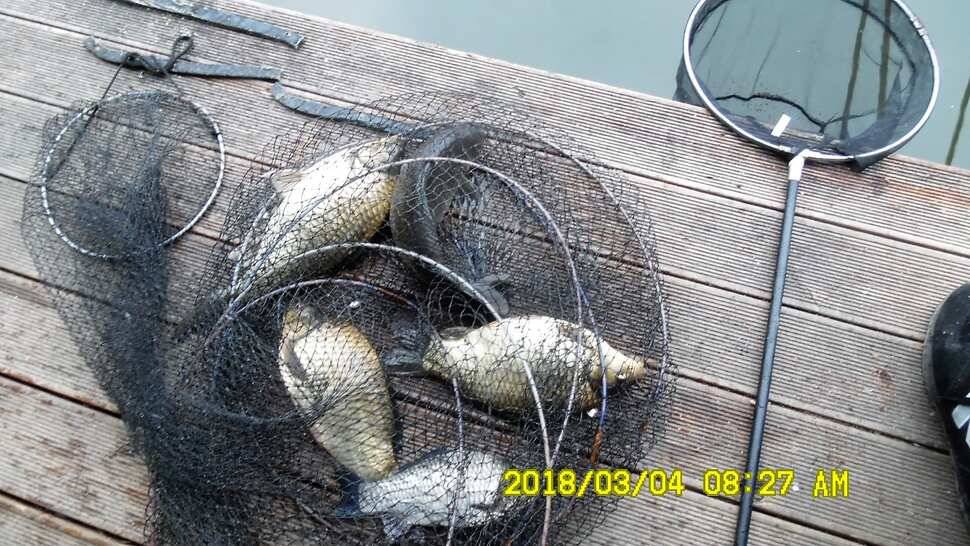 반제지 조황정보입니다 (유료터정보 - 유료터점주조황)
