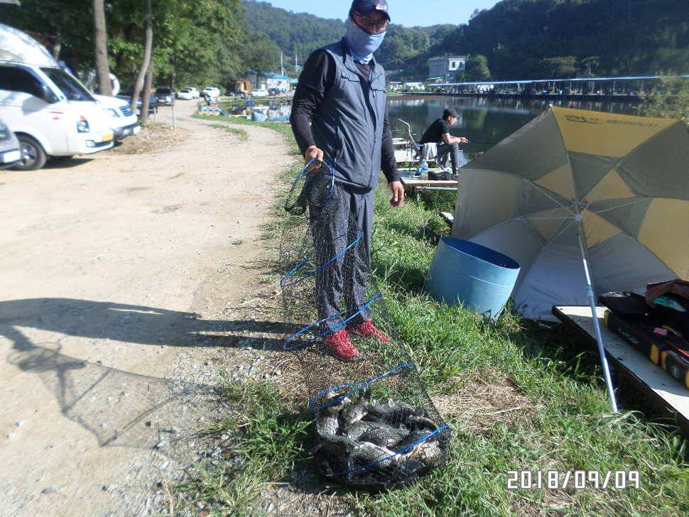 아산신수지 9월 둘째 주말 화보입니다 (유료터정보 - 유료터점주조황)
