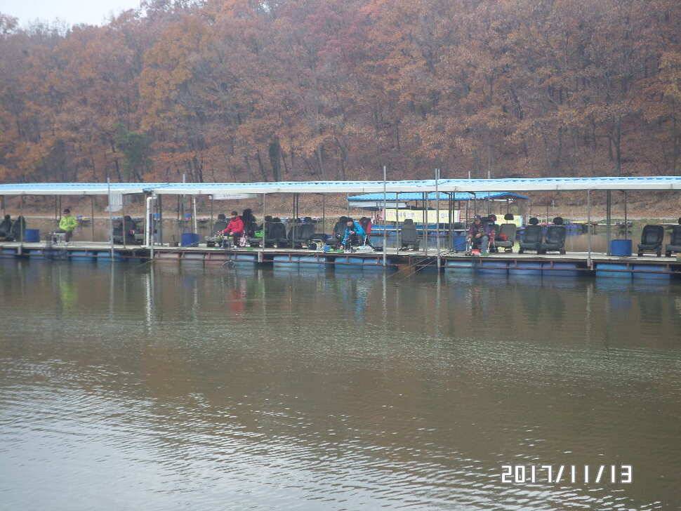 아산 신수지 11월 세째주말 화보입니다 (유료터정보 - 유료터점주조황)