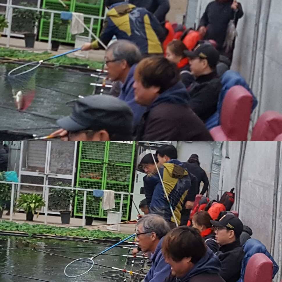 스릴러 (유료터정보 - 유료터점주조황)
