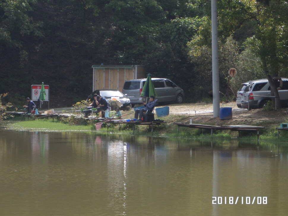 fish_pay_19250_075156_22498.jpg