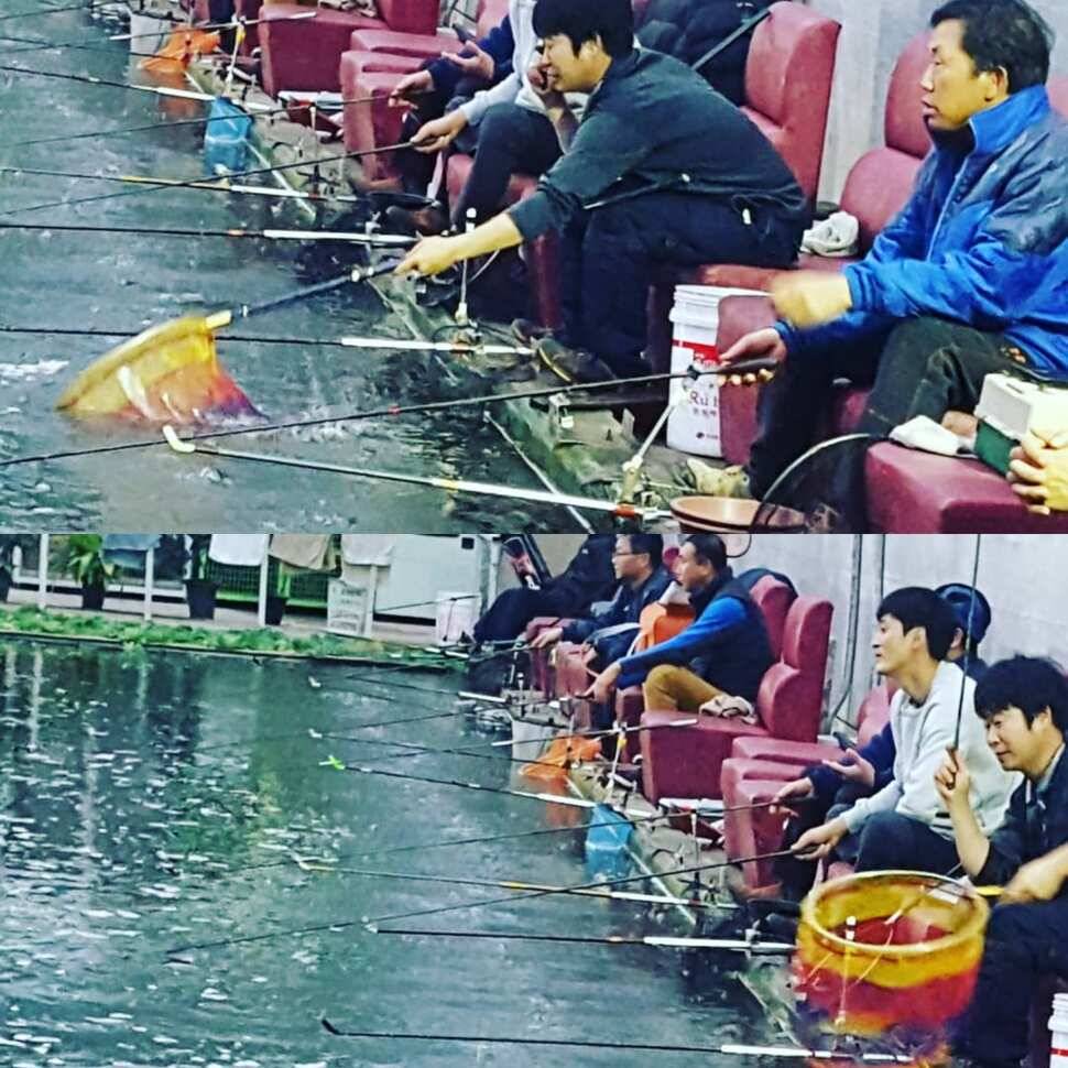 점보 사이즈 (유료터정보 - 유료터점주조황)