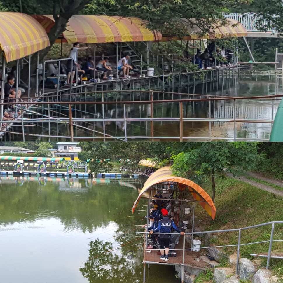 얄궂은 낚시 (유료터정보 - 유료터점주조황)