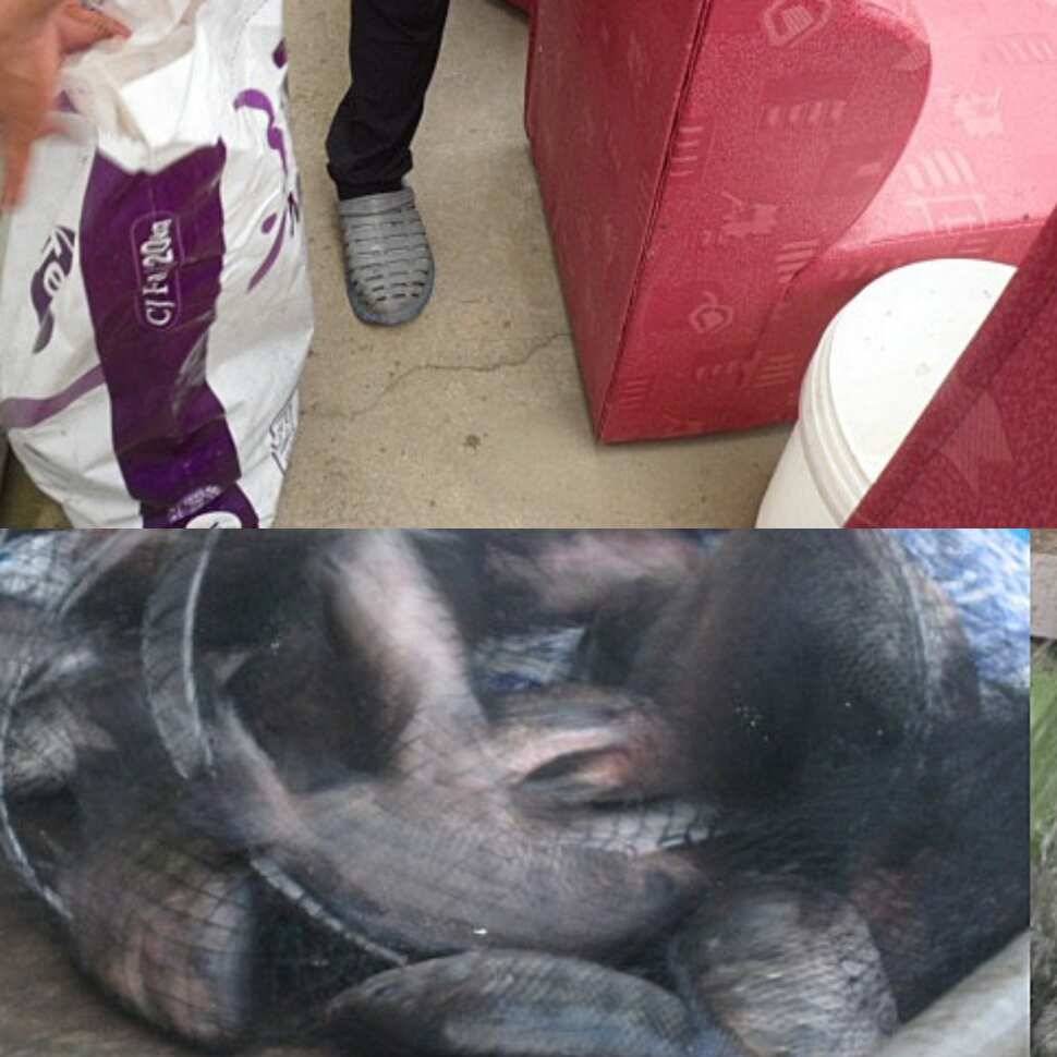 가재는 게 편 (유료터정보 - 유료터점주조황)