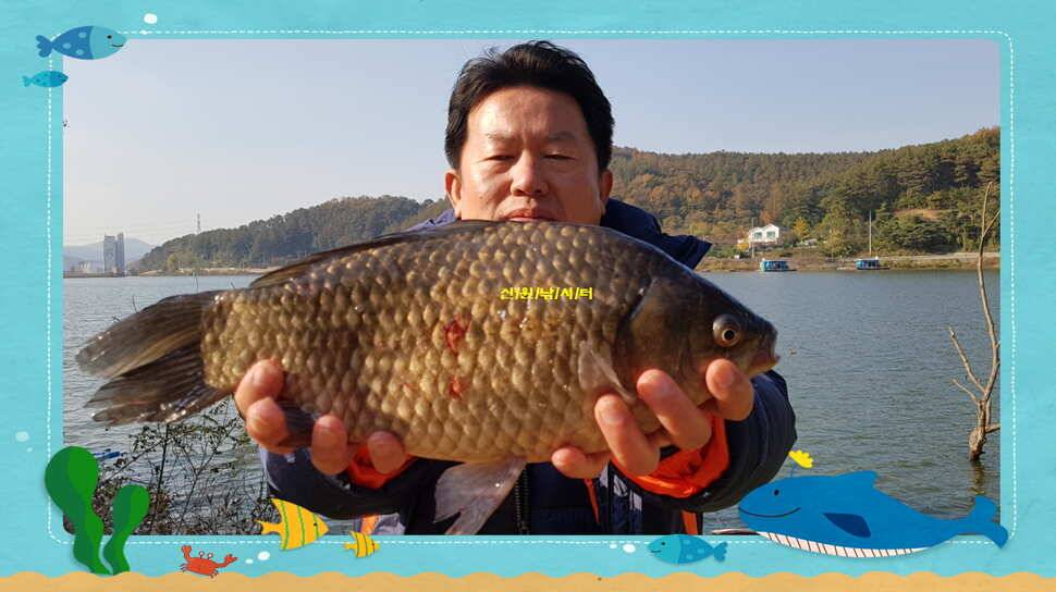 신원낚시터 10월 마지막주 조황소식과 방류 동영상 입니다 (유료터정보 - 유료터점주조황)