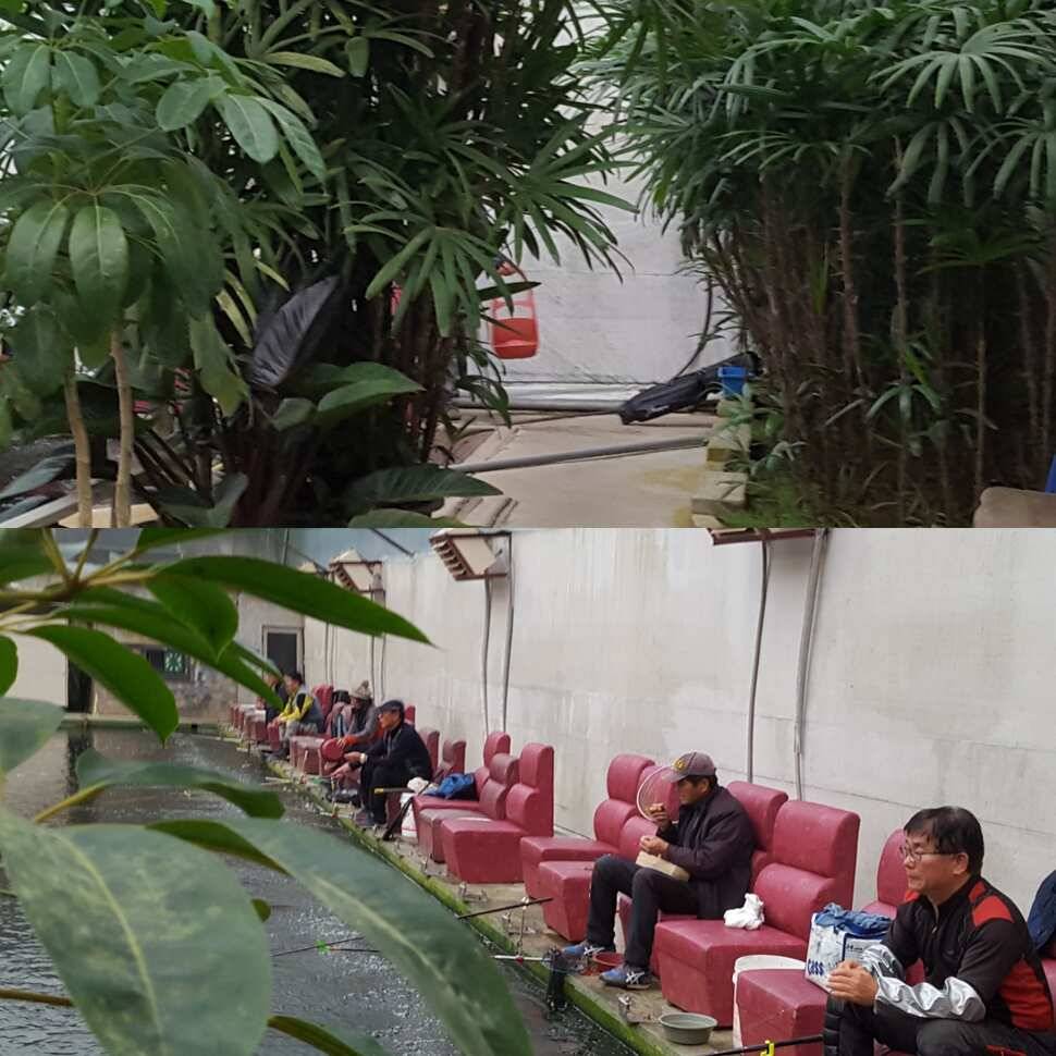괴물 (유료터정보 - 유료터점주조황)