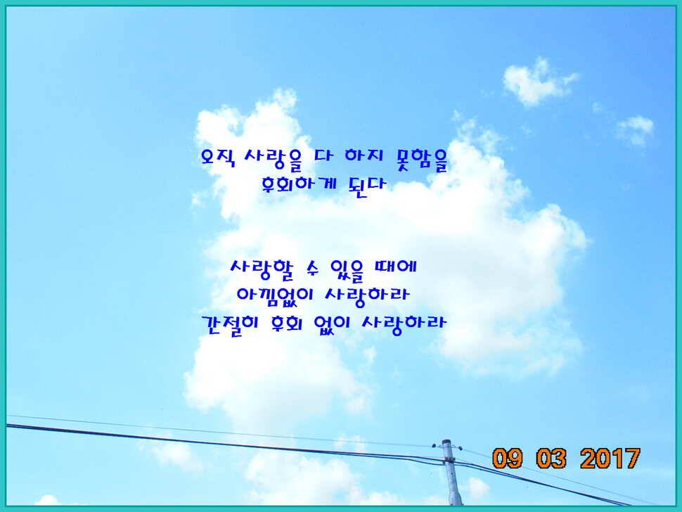 도심속의 작은 쉼터 화성 관리 낚시터입니다Dae Bak 예감 (유료터정보 - 유료터점주조황)