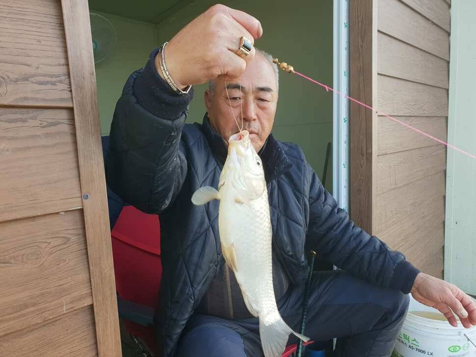 거청낚시터 10월 19 일 붕어조황 (유료터정보 - 유료터점주조황)