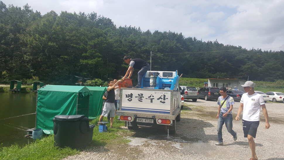 경주 동산낚시터 지난주 조황 (유료터정보 - 유료터점주조황)