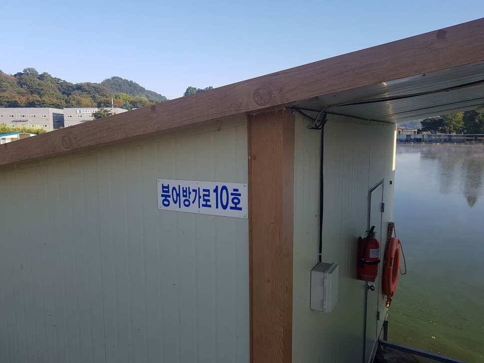 경기도 안성 거청낚시터 붕어조황 9 얼 29 (유료터정보 - 유료터점주조황)