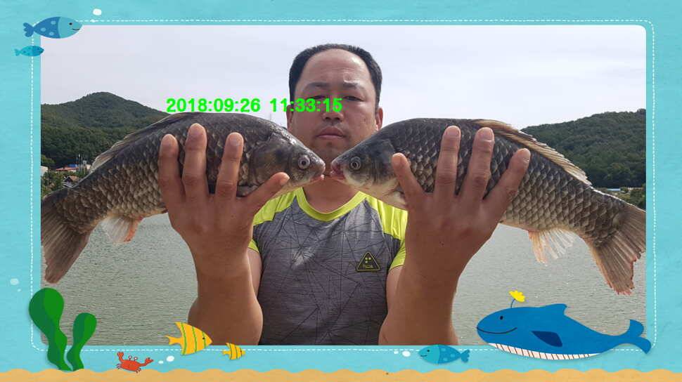 신원낚시터 추석연휴 조황 소식입니다 (유료터정보 - 유료터점주조황)
