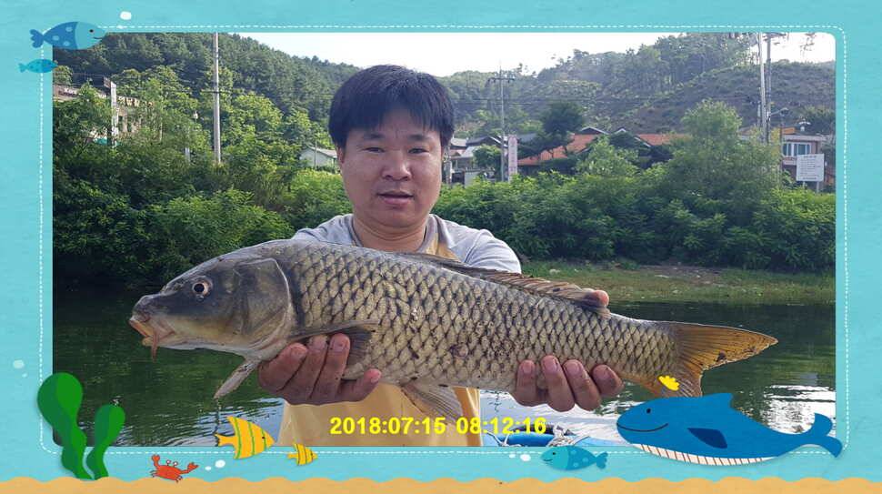 신원낚시터 7월 둘쨋주 조황 소식입니다 (유료터정보 - 유료터점주조황)