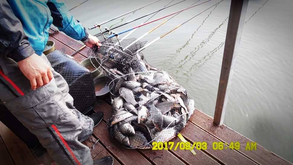 반제낚시터 주말조황정보 (유료터정보 - 유료터점주조황)